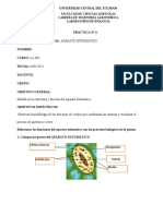 Práctica N°6 Aparato Estomático