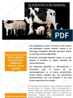 Alimentacion Animal Nutrientes