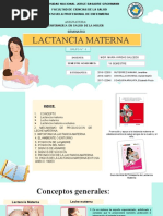 Lactancia Materna OK