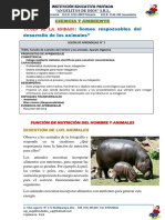 Función de Nutrición en Los Animales