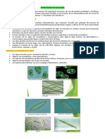 2°parcial - ESTRUCTURA DE LAS ALGAS PDF