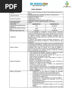 Ficha Técnica y Resumen Ejecutivo Chojñacota