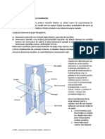 Anatomia Si Biomecanica Membrelor