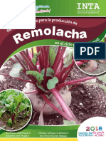 Recomendaciones Produccion Remolacha 2018