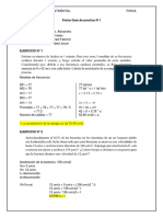 Fisica Guia de Practica N 1