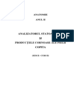 Anatomie 4 - Curs 2 - AN II SEM 4 - Analizatorul Statoacustic Și Producțiile Cornoase Ale Pielii - Copita