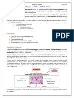 Tema 3 - Tejido Conectivo