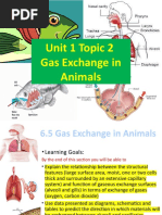 Unit 1 Topic 2 Gas Exchange in Animals 2022