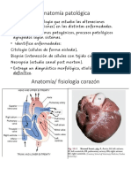 CARDIO - I - Resumen