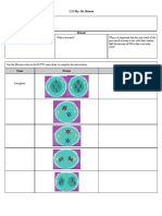 2 2 5+Student+Workbook