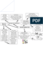 Invertebrates Chart