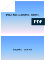 Dezvoltarea Aparatului Digestiv