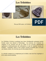 Les Trilobites