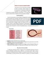 Parasitología-Tema 13 y 14 Ascaris, Necator, Ancylostoma y Strongyloides