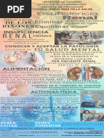 Infografia Psicologia de La Salud Insuficiencia Renal