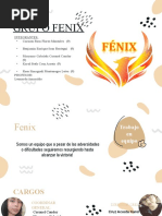 TRABAJO FENIX (Avance