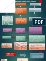 Infografía Derecho Positivo