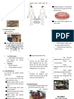 Leaflet Scabies