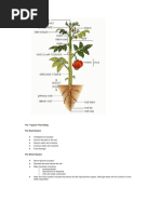 Plant Structure