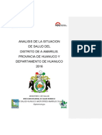 Analisis de La Situacion de Amarilis-Hco-Hco