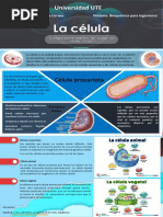 Infografia de La Celula