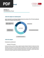 Tema 12. Recurso Adicional. Juicio de Amparo en Materia Penal