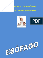 Rotafolio Endos