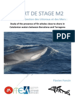 Rapport de Stage M2 Foncin Flavien