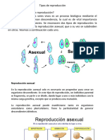 Cartilla Ciencias Naturales