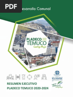 Resumen Ejecutivo Pladeco Temuco 2020-2024