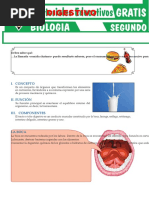 Sistema-Digestivo Secundaria