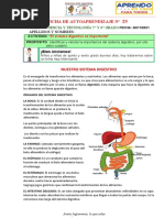 FICHA #29 C y T - V CICLO