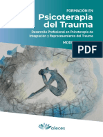 Formación en Psicoterapia Del Trauma