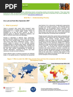 Brief No 1 - Understanding Poverty: Eva Ludi and Kate Bird, September 2007