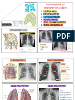 FLASHCARDS ToRAX Bases