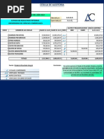 Cedula de Auditoria