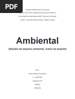 EIA Matriz de Leopold