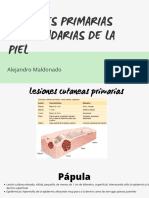 Lesiones Primarias y Secundarias de La Piel