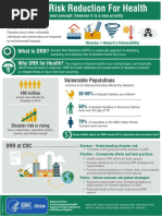 Disaster Risk Infographic