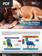 Articulo Terapia de Fluidos - Liq - Corporales