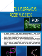 Ácidos Nucleicos