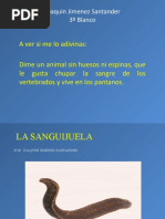 La Sanguijuela