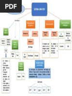 Mapa S. Linfático