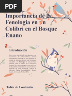 Fenologia Colibri