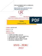 Año Del Fortalecimiento de La Soberania Nacional