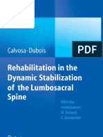 Rehabilitation in The Dynamic Stabilization of Lumbar Spine