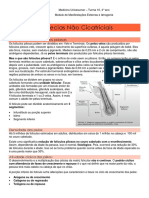 Dermatologia - 4A MIII A13 - Alopecias