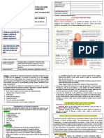 Ficha de Sistema Respiratorio