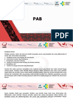 PAB-new