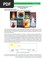 Lectura 4.2-Tipos de Reacciones y Equilibrio de Ecuaciones Químicas